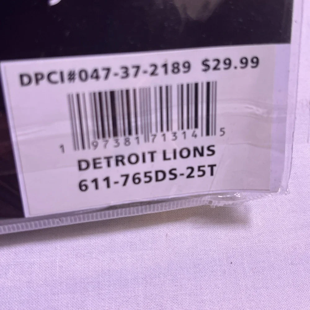 NFL Picnic Caddy Detroit Lions Unisex OS Blue NEW Oversized Multi-Purpose Tote
